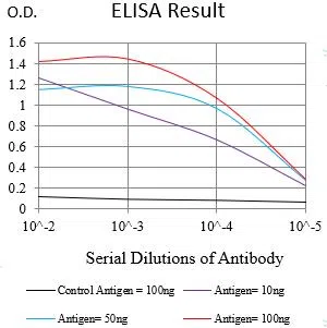 NUP98 Mouse Monoclonal Antibody - Size: 50µl