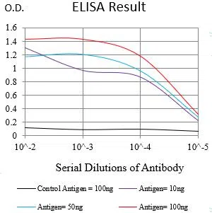 SIGLEC8 Mouse Monoclonal Antibody - Size: 100µl