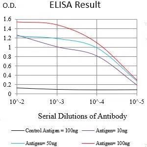 TIMD4 Mouse Monoclonal Antibody - Size: 100µl