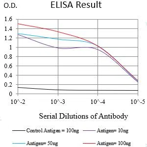 TIMD4 Mouse Monoclonal Antibody - Size: 100µl