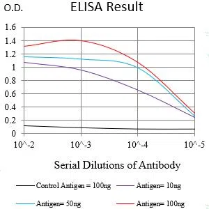 CD317 Mouse Monoclonal Antibody - Size: 100µl