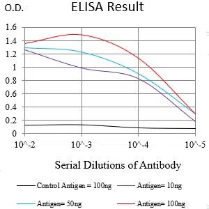 CDKN1A Mouse Monoclonal Antibody - Size: 100µl