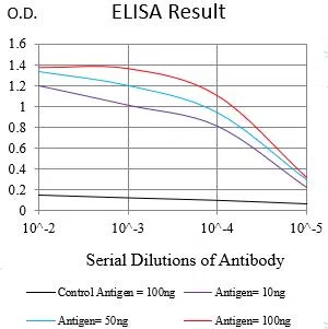 HDAC1 Mouse Monoclonal Antibody - Size: 100µl