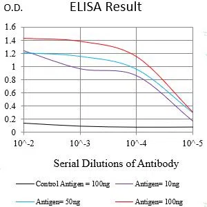 KRT2 Mouse Monoclonal Antibody - Size: 50µl