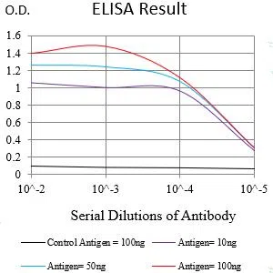 KRT2 Mouse Monoclonal Antibody - Size: 100µl