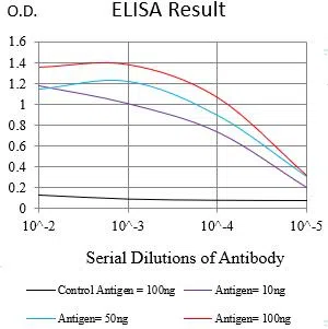 ATP1A1 Mouse Monoclonal Antibody - Size: 50µl