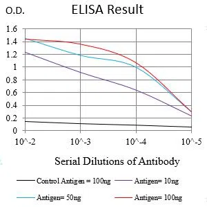 KRT10 Mouse Monoclonal Antibody - Size: 50µl