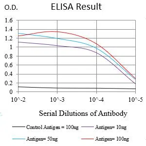 CD105 Mouse Monoclonal Antibody - Size: 50µl