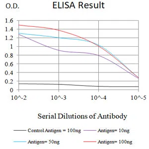 GPR56 Mouse Monoclonal Antibody - Size: 50µl