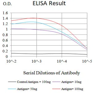 MSH2 Mouse Monoclonal Antibody - Size: 50µl