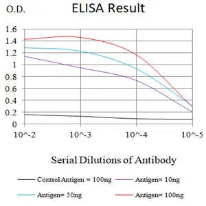 GPR15 Mouse Monoclonal Antibody - Size: 100µl