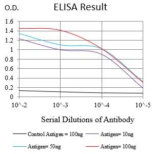 KIT Mouse Monoclonal Antibody - Size: 50µl