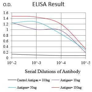 KIT Mouse Monoclonal Antibody - Size: 100µl