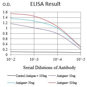 PDLIM7 Mouse Monoclonal Antibody - Size: 100µl