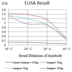 PDLIM7 Mouse Monoclonal Antibody - Size: 100µl