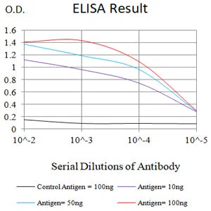 BRAF Mouse Monoclonal Antibody - Size: 50µl