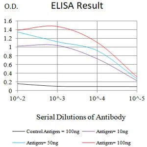 SCARB1 Mouse Monoclonal Antibody - Size: 100µl