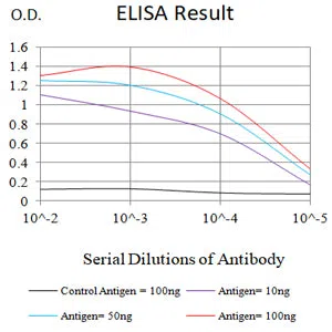 TSPAN33 Mouse Monoclonal Antibody - Size: 50µl