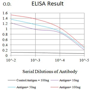 TSPAN33 Mouse Monoclonal Antibody - Size: 100µl