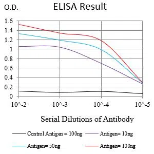 MUC12 Mouse Monoclonal Antibody - Size: 100µl