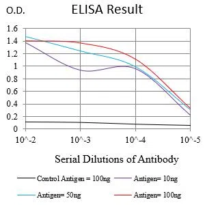 CCRL2 Mouse Monoclonal Antibody - Size: 50µl