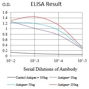 CD1D Mouse Monoclonal Antibody - Size: 100µl