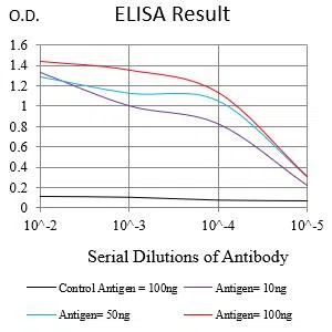 LMNB1 Mouse Monoclonal Antibody - Size: 100µl