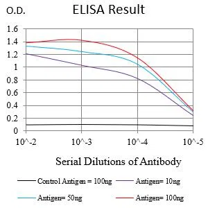 LMNB1 Mouse Monoclonal Antibody - Size: 50µl