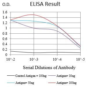 TSPAN16 Mouse Monoclonal Antibody - Size: 50µl