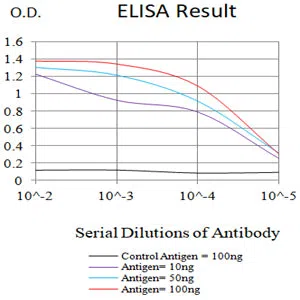 TSPAN8 Mouse Monoclonal Antibody - Size: 100µl