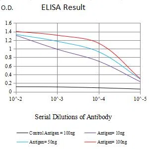 KCNN4 Mouse Monoclonal Antibody - Size: 100µl