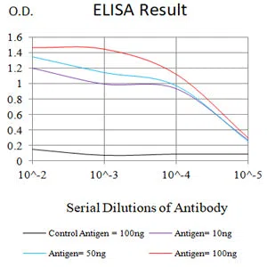ATP6AP1 Mouse Monoclonal Antibody - Size: 50µl