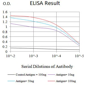 P4HB Mouse Monoclonal Antibody - Size: 100µl