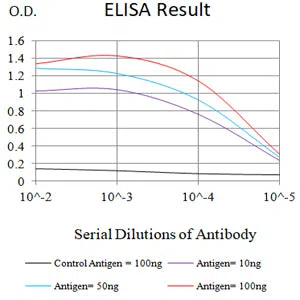XRCC1 Mouse Monoclonal Antibody - Size: 100µl