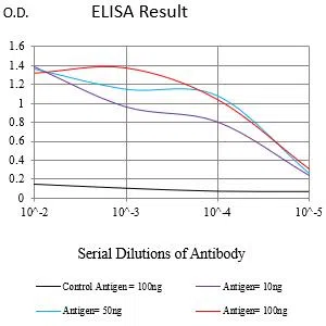 RABEP2 Mouse Monoclonal Antibody - Size: 50µl