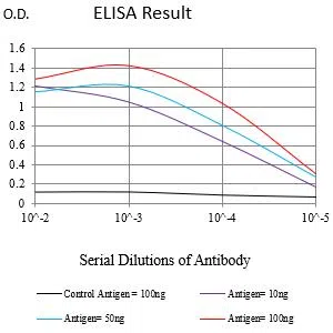 PMEL Mouse Monoclonal Antibody - Size: 100µl