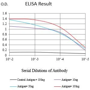 PMEL Mouse Monoclonal Antibody - Size: 50µl