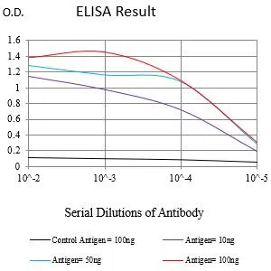 KCNN4 Mouse Monoclonal Antibody - Size: 100µl