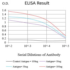 XRCC1 Mouse Monoclonal Antibody - Size: 100µl