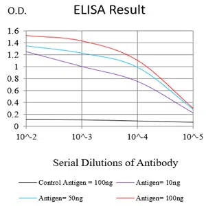 HSP70 Mouse Monoclonal Antibody - Size: 50µl