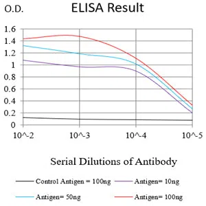 TSG101 Mouse Monoclonal Antibody - Size: 100µl
