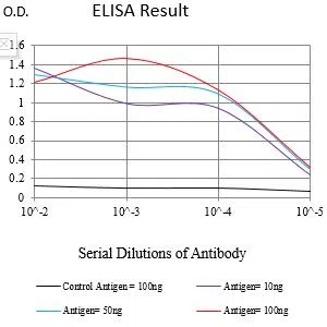 DLG4 Mouse Monoclonal Antibody - Size: 100µl