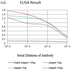 MAGEA4 Mouse Monoclonal Antibody - Size: 100µl