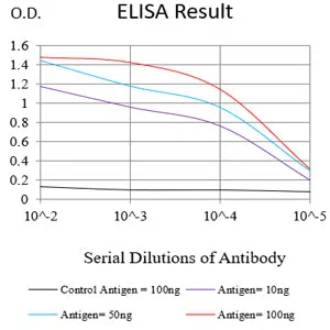 NDC80 Mouse Monoclonal Antibody - Size: 50µl