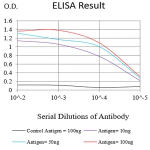 ETFA Mouse Monoclonal Antibody - Size: 100µl