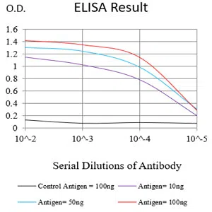 ETFA Mouse Monoclonal Antibody - Size: 50µl