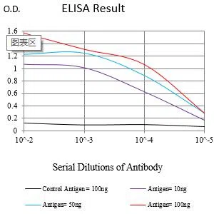 HMOX1 Mouse Monoclonal Antibody - Size: 100µl