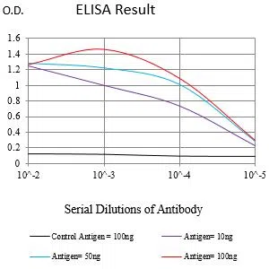 HMOX1 Mouse Monoclonal Antibody - Size: 100µl