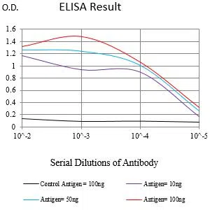 KLK2 Mouse Monoclonal Antibody - Size: 50µl