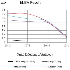TNNT2 Mouse Monoclonal Antibody - Size: 50µl